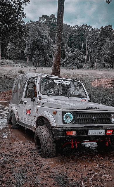 埃及11月大名单：萨拉赫领衔，马尔穆什、穆斯塔法在列